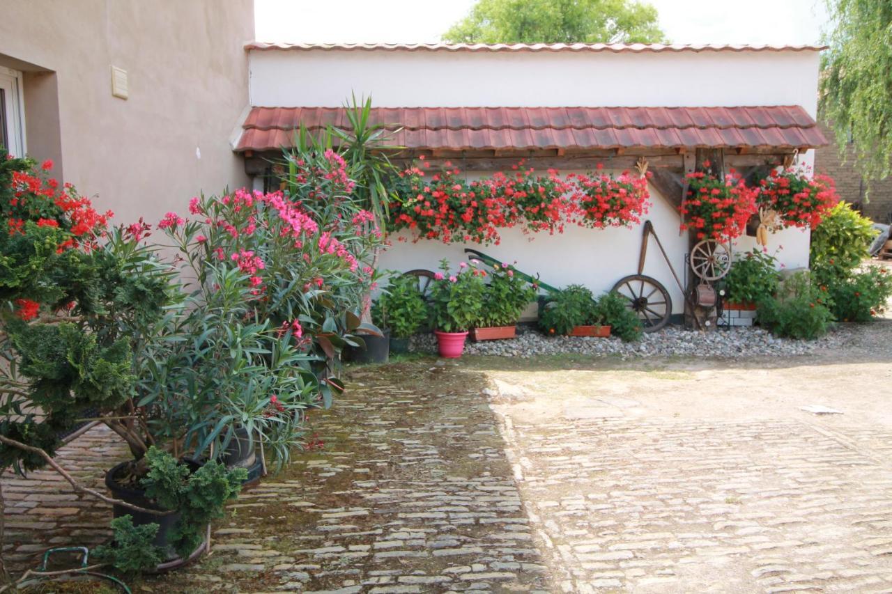 La Chambre Aux Hirondelles Ittenheim Exteriör bild